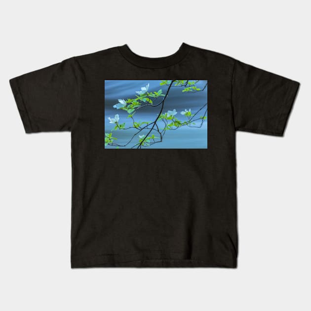 Dogwood Blossoms 2 Kids T-Shirt by jvnimages